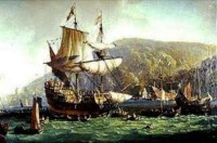 speedwell painting by Wilcox.jpg