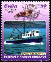 Camaronero.jpg
