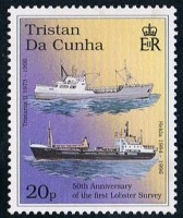Tristania ll.JPG
