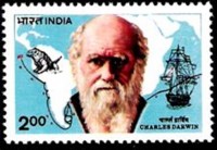 darwin9.jpg