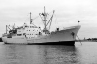 moana roa 1.jpg (98.18 KiB) Viewed 1794 times moana roa 1.jpg