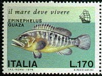 A V1.jpg (67.02 KiB) Viewed 15837 times A V1.jpg