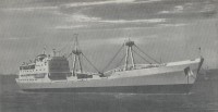 sibir.jpg