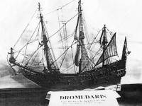 dromedaris.jpg