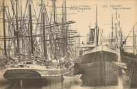 marie therese 1901.jpg