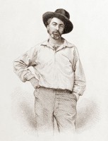 Walt_Whitman,_steel_engraving,_July_1854.jpg