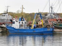 Mare_at_Pier_in_Lennusadam_Tallinn_16_May_2014.JPG