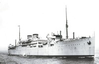 highland monarch.jpg