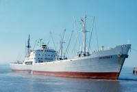 harambee.jpg (80.48 KiB) Viewed 2115 times harambee.jpg