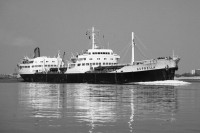 asprella 1959.jpg