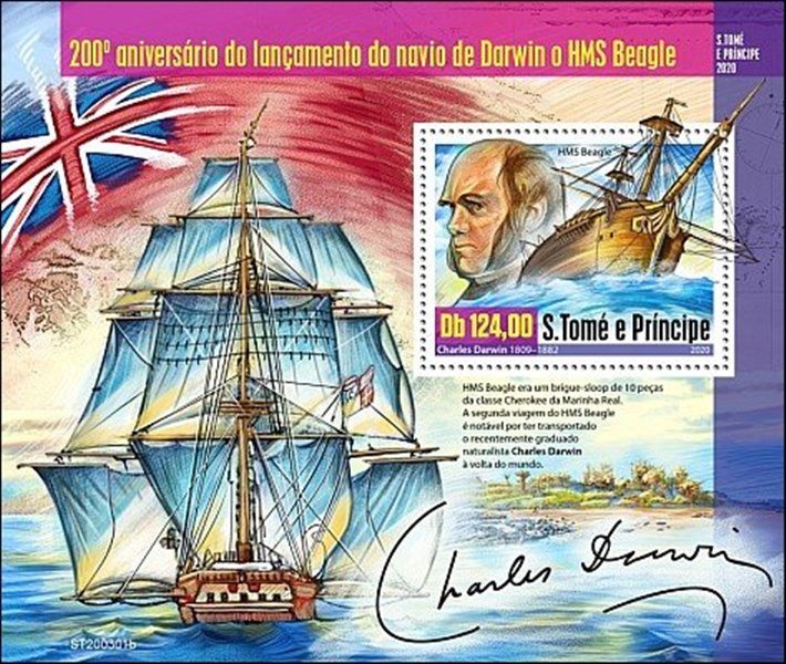 2021 BEAGLE MS (2).jpg