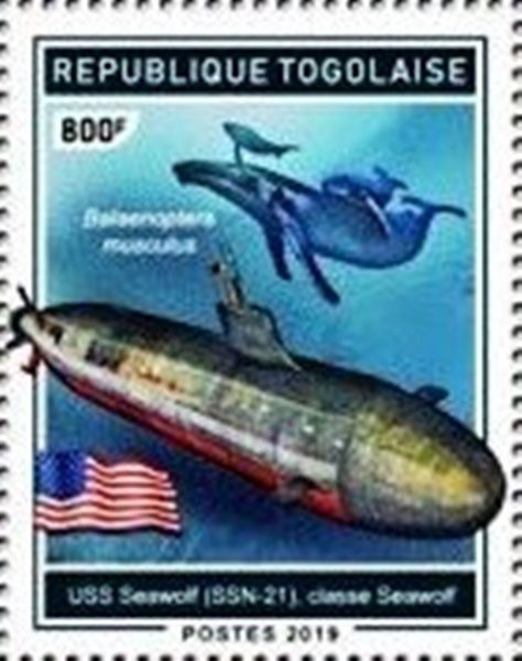 2019 Seawolf-SSN-21-Seawolf-class-Balaenoptera-musculus (2).jpg
