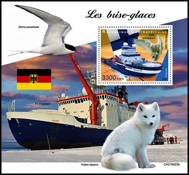 2021 POLARSTERN (2).jpg
