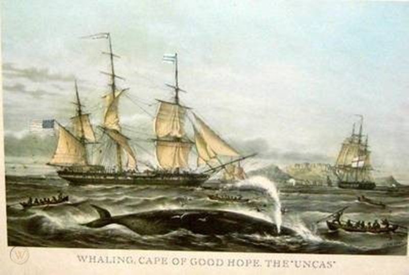 uncas whaler (2).jpg