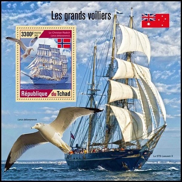 2021 Christian-Radich---Norway (2).jpg