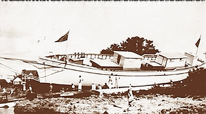 ARBUTUS II.jpg