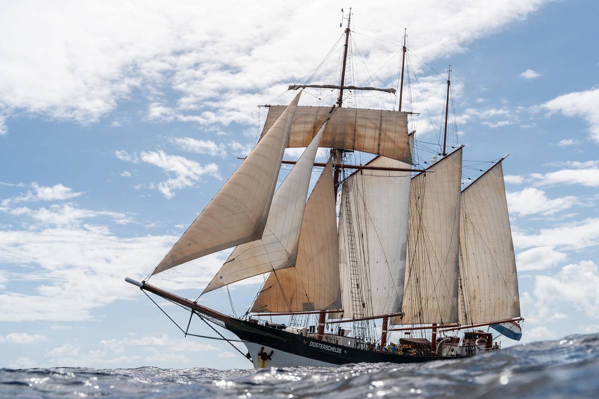 DARWIN200_-Oosterschelde_Sailing-to-French-Polynesia-by-Tom-Dixon-2-min.jpg