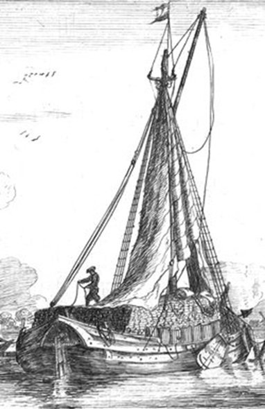 frieseturfpot -2.jpg