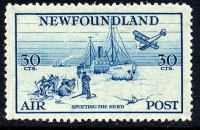 SG232