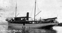 Chauncy_Maples_1905.jpg (58.57 KiB) Viewed 4678 times Chauncy_Maples_1905.jpg