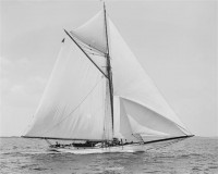 Sloop_Mischief-2.jpg